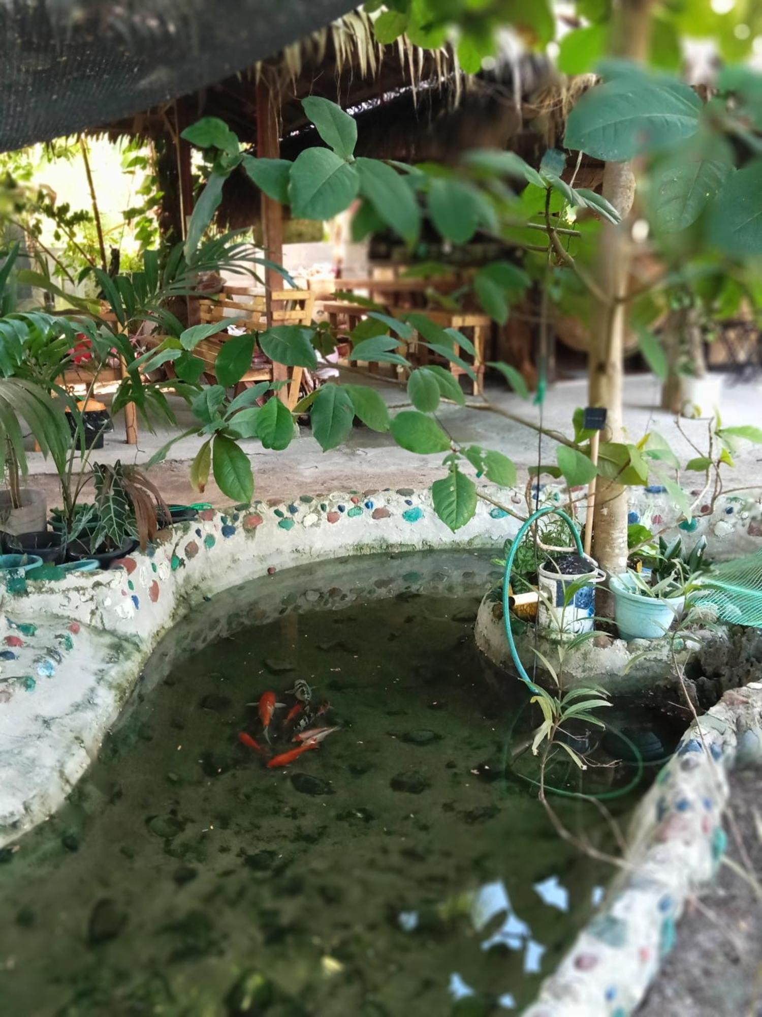 Weeroona Huts Homestay Pacifico San Isidro  Luaran gambar