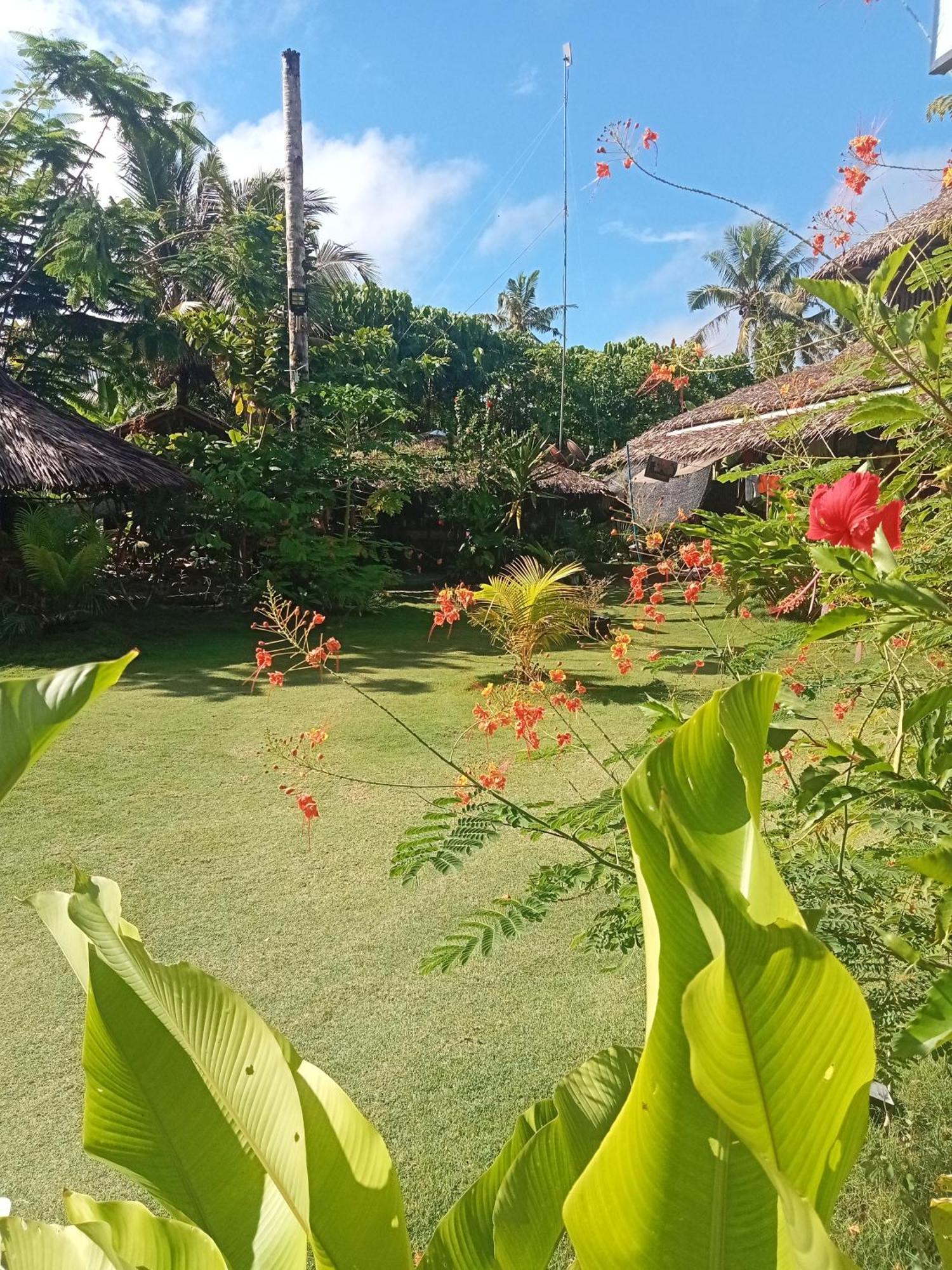 Weeroona Huts Homestay Pacifico San Isidro  Luaran gambar